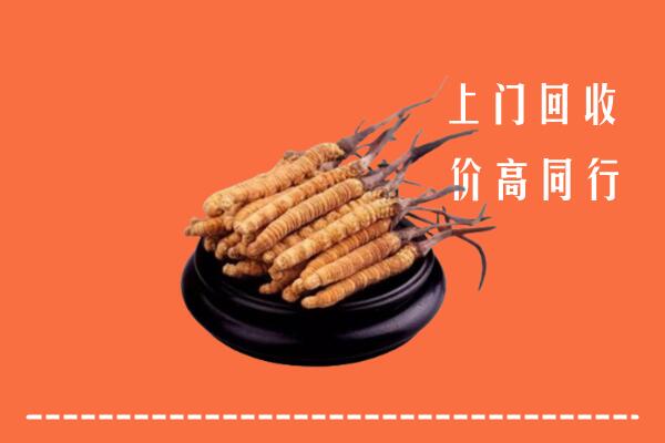高价求购：仙居县回收散虫草